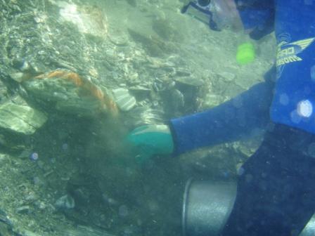 gold dredging in New Zealand